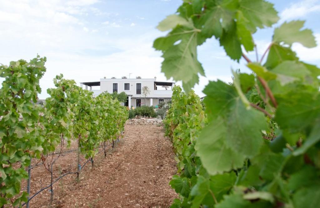 Agriturismo "Lu Puzzu" Torre Lapillo Exterior photo